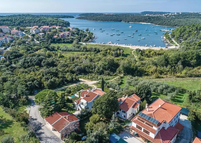 Stunning In With Wifi * Póla